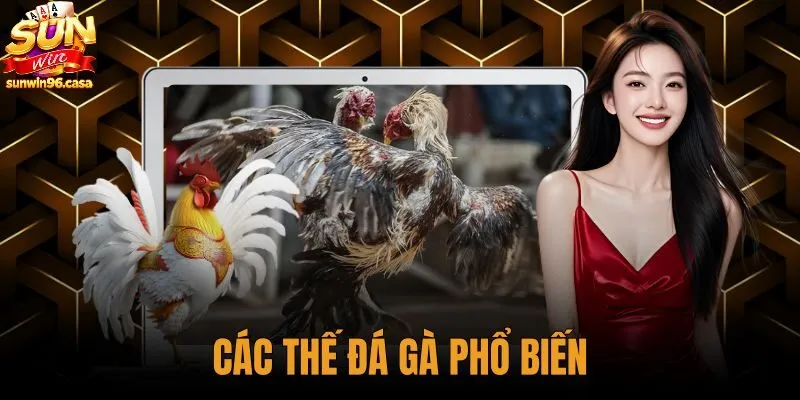Các Thế Đá Gà Phổ Biến Và Quy Luật Tương Khắc Đòn Lối