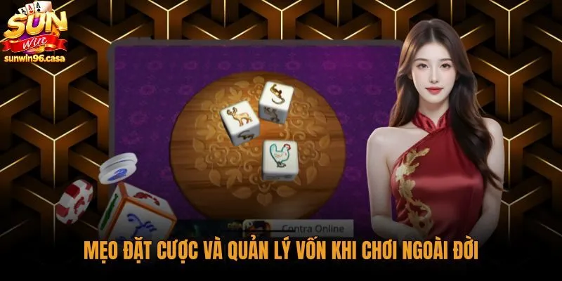 Kỷ luật phân chia tiền cược và quan sát nhịp lắc đĩa